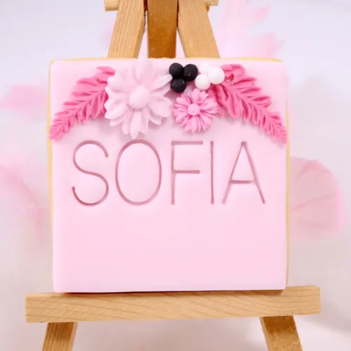 Schwarz-rosa Keks mit SOFIA Schriftzug auf einer Staffelei.