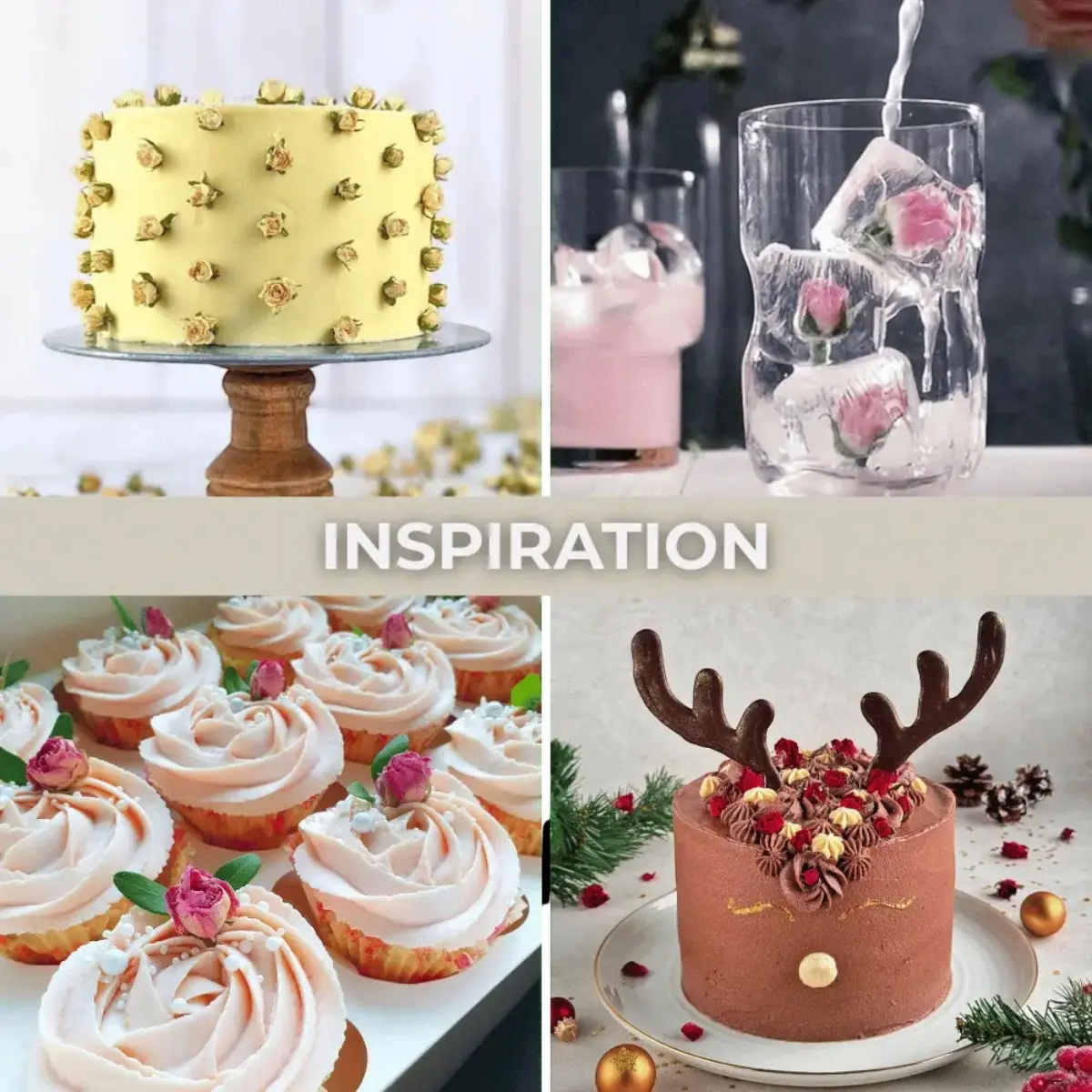 Collage mit gelber Torte, Eiswürfeln mit rosa Rosenknospen, Cupcakes mit Cremehauben und einer Rentiertorte mit Rosenknospendekoration.