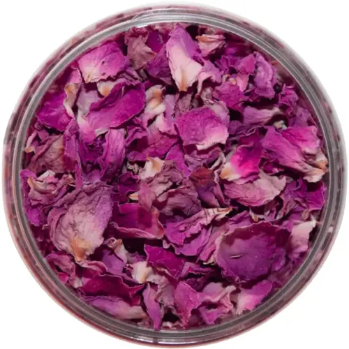 Getrocknete lila-rosa Blütenblätter der Damaszenerrose in einer geöffneten runden Dose, von oben vor weißem Hintergrund.